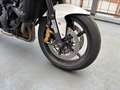 Triumph Street Triple R 675 R Blanc - thumbnail 6
