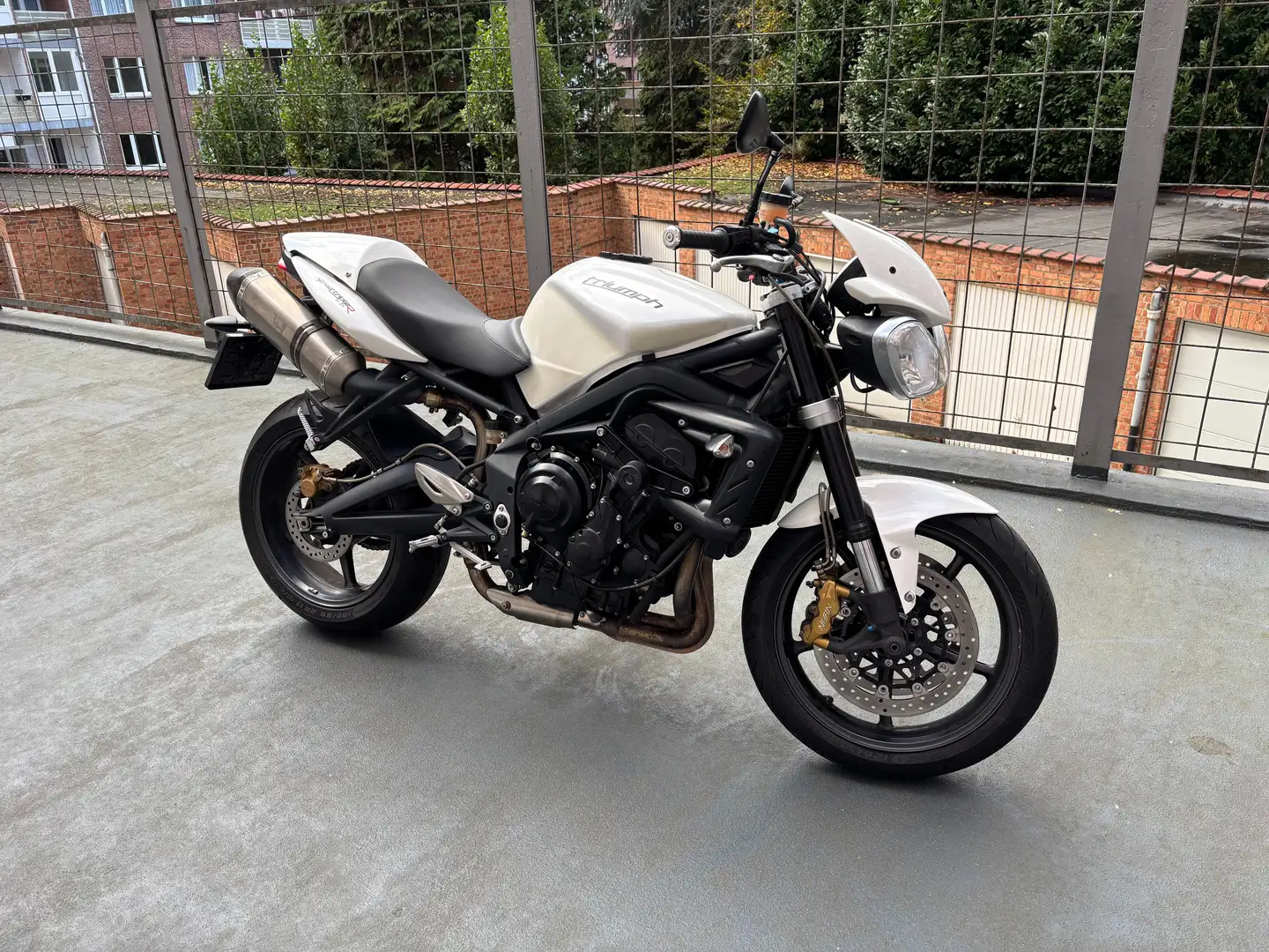 Triumph Street Triple R 675 R Blanc - 1