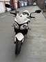 Triumph Street Triple R 675 R Blanc - thumbnail 3