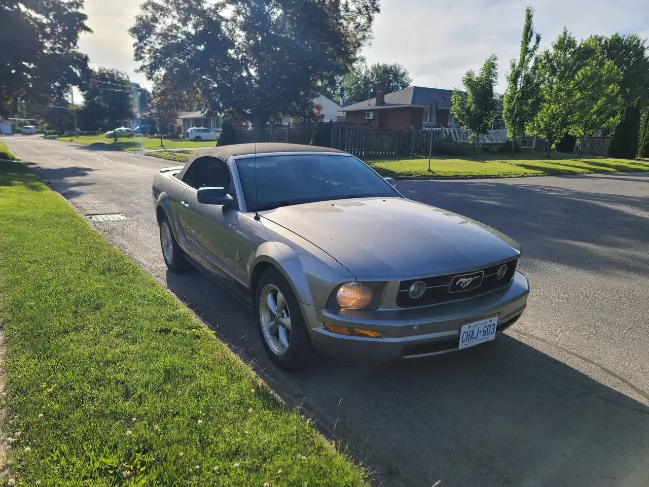 Ford Mustang fotografie Ford Mustang