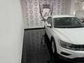 Volkswagen Tiguan Tiguan II 2016 1.6 tdi Business 115cv Bianco - thumbnail 2