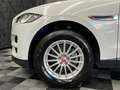 Jaguar F-Pace F-Pace 2.0d Pure awd 180cv auto (379) Bianco - thumbnail 8