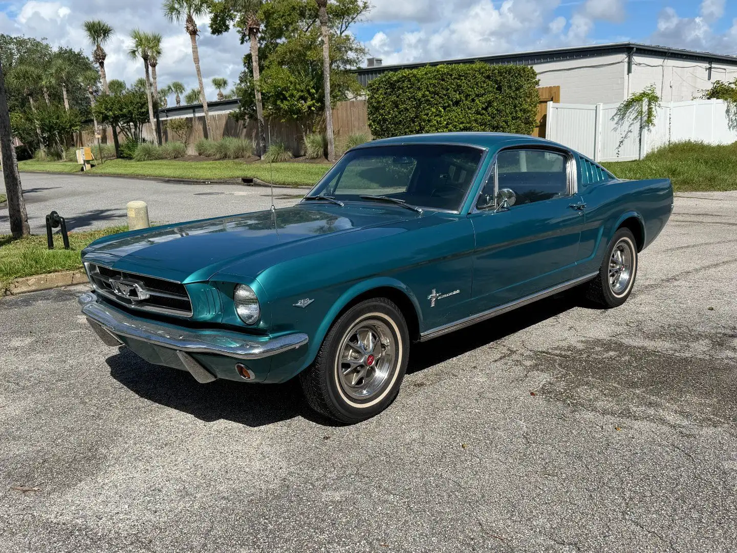 Ford Mustang Fastback Grün - 1