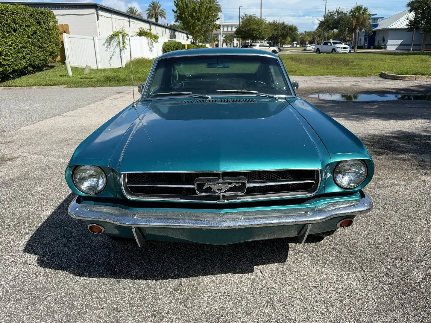 Ford Mustang Fastback Grün - 2