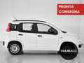 Fiat Panda Panda 1.2 EasyPower Lounge - thumbnail 4
