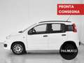 Fiat Panda Panda 1.2 EasyPower Lounge - thumbnail 3