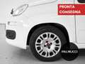 Fiat Panda Panda 1.2 EasyPower Lounge - thumbnail 6