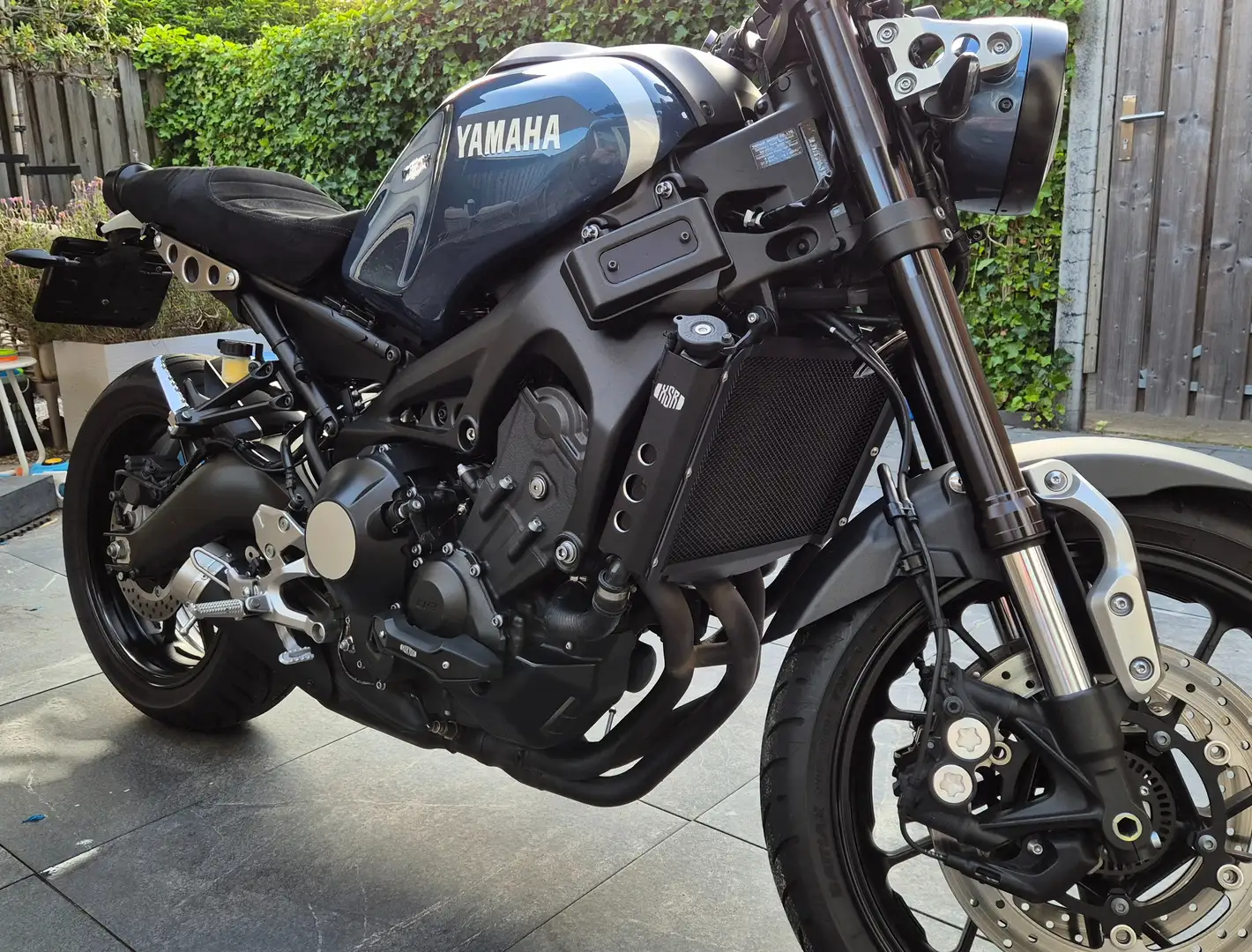 Yamaha XSR 900 Bleu - 1