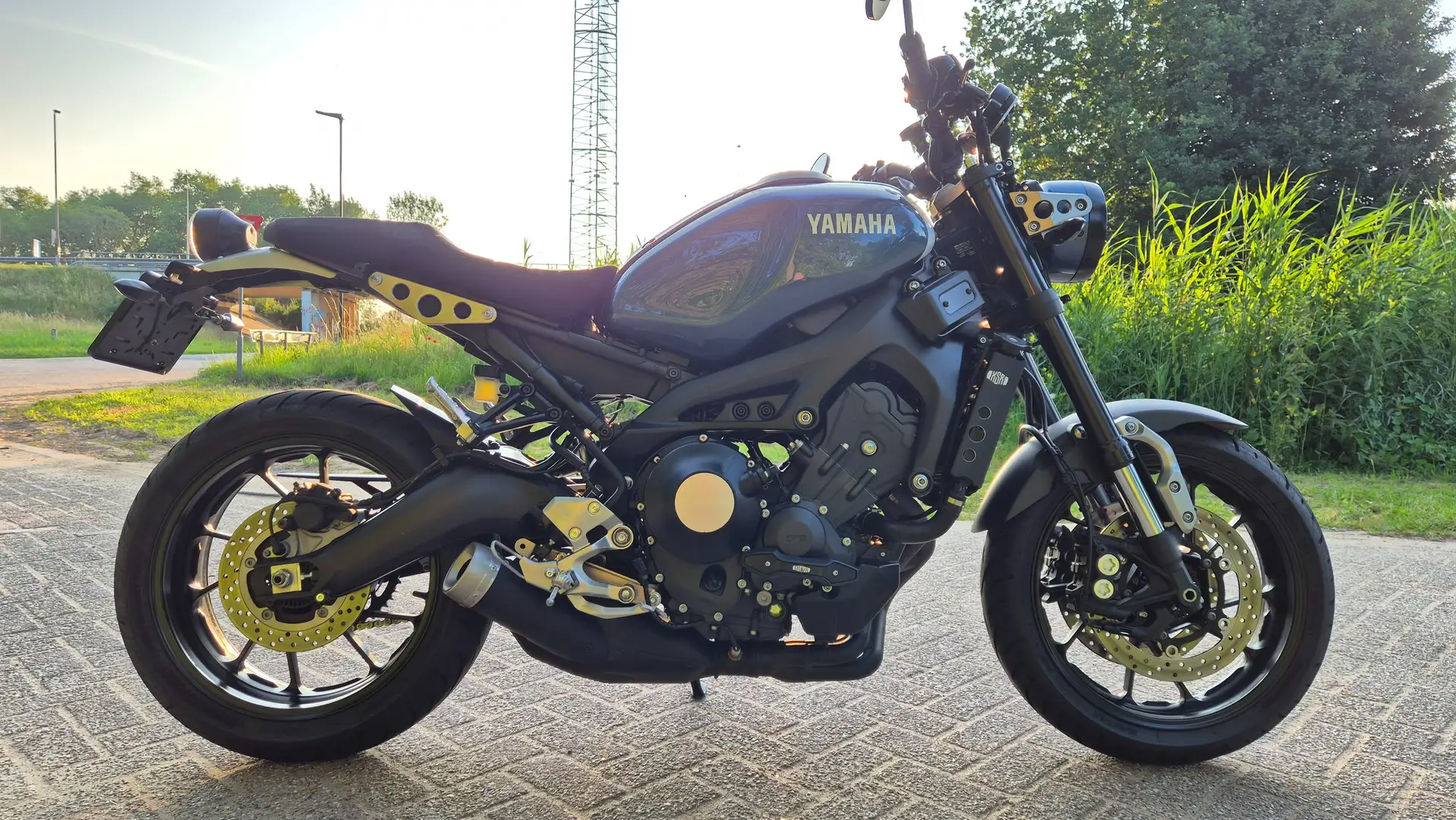 Yamaha XSR 900 Niebieski - 1
