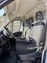 Fiat Ducato Ducato 33 2.3 MJT 120CV PLM-TM Furgone Bianco - thumbnail 6