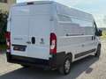 Fiat Ducato Ducato 33 2.3 MJT 120CV PLM-TM Furgone Bianco - thumbnail 4