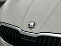 Skoda Fabia Essence 1.0 TSI 95pk App connect, Airco, Parkeerse Wit - thumbnail 26