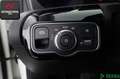 Mercedes-Benz A 250 PROGRESSIVE KAMERA,TOTWINKEL,SPURHALTE,SH Weiß - thumbnail 14
