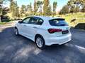 Fiat Tipo Tipo 5p 1.6 mjt Business s Bianco - thumbnail 6