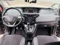 Lancia Ypsilon 1.2 Benzina 69cv Platinum - Eu 5b Neopatentati Marrone - thumbnail 8