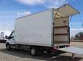 Ford Transit Transit Ladebordwand/€ 24.900,-netto/Koffer TEL Weiß - thumbnail 8