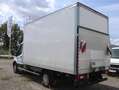 Ford Transit Transit Ladebordwand/€ 24.900,-netto/Koffer TEL Weiß - thumbnail 5