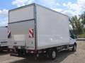 Ford Transit Transit Ladebordwand/€ 24.900,-netto/Koffer TEL Weiß - thumbnail 4