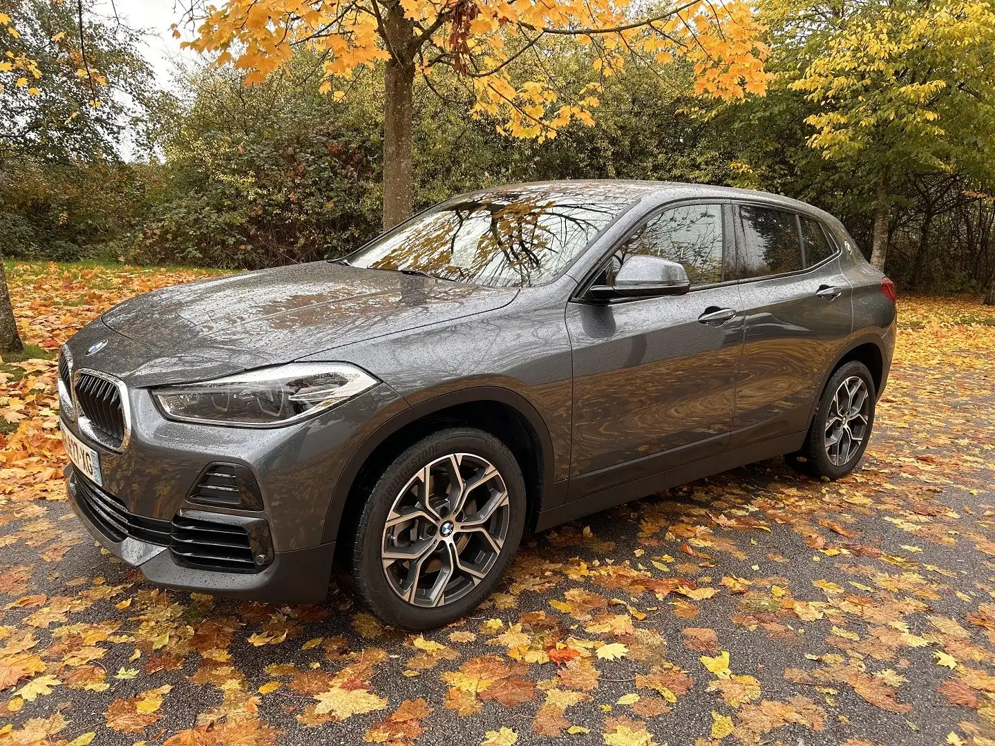 BMW X2 (F39) XDRIVE20IA 192CH LOUNGE Grau - 1