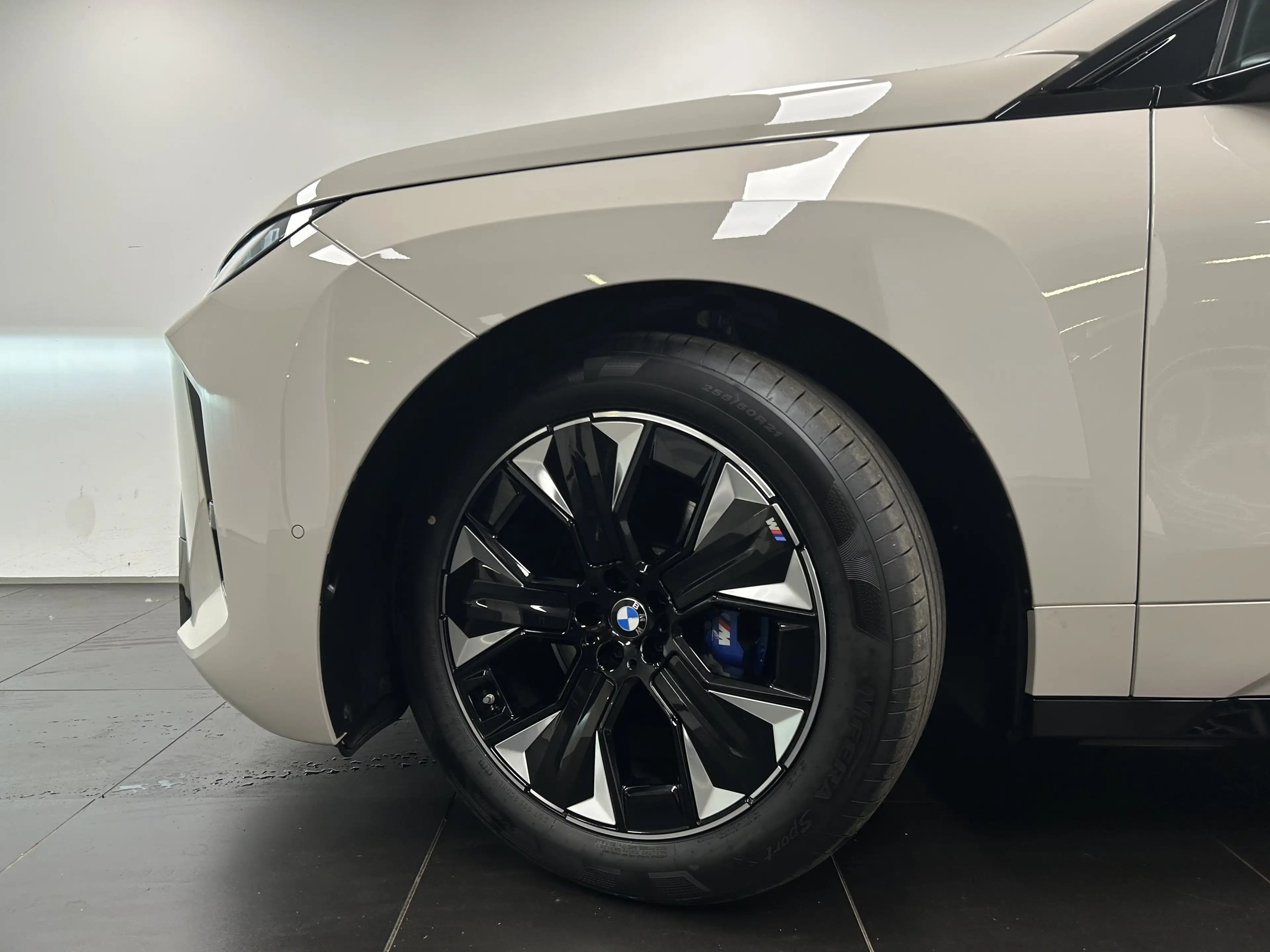 BMW iX xDrive45 M Sportpaket Harman/Kardon AHK DAB LED Ko — photo 9