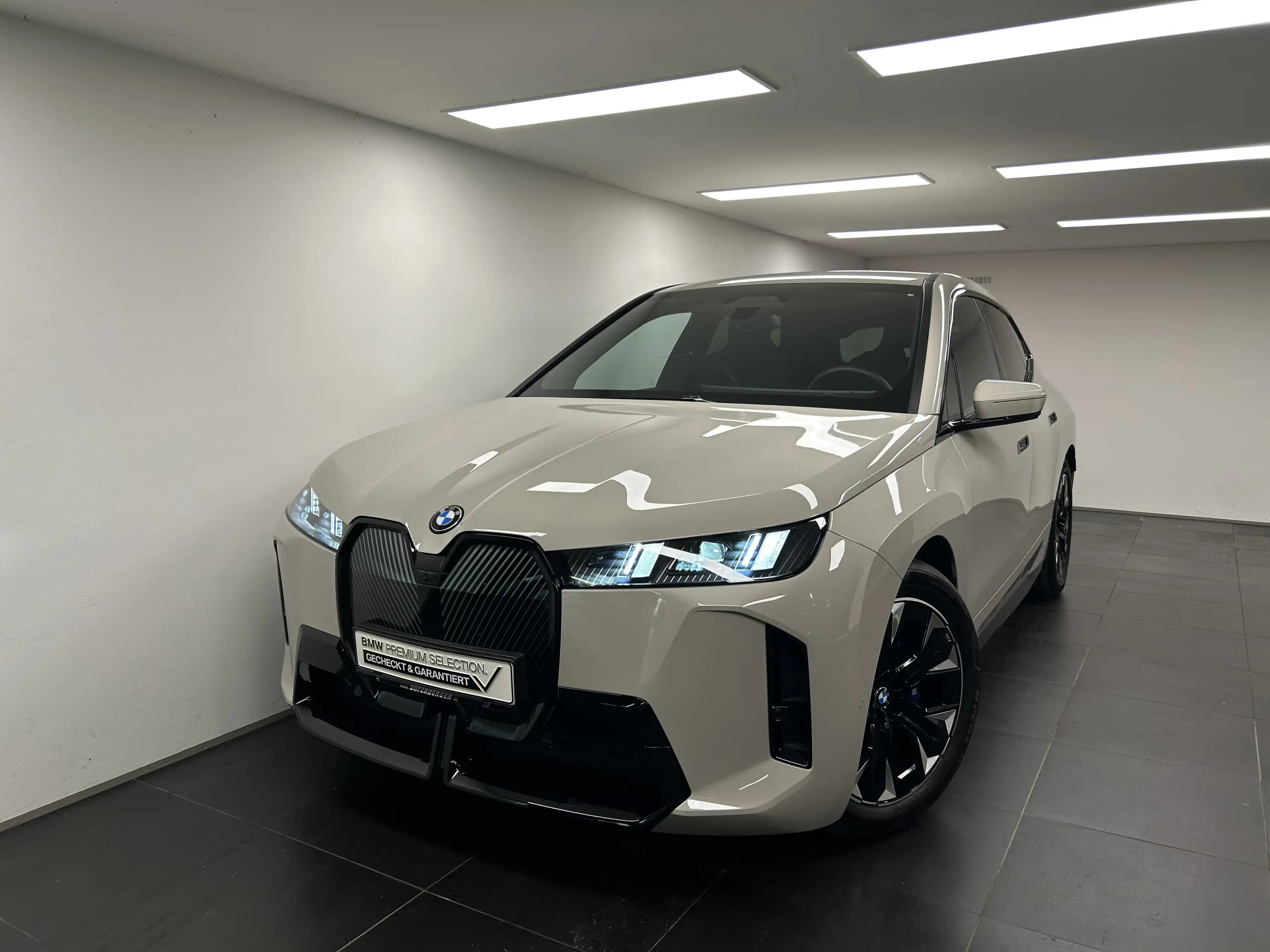 BMW iX xDrive45 M Sportpaket Harman/Kardon AHK DAB LED Ko — photo 7