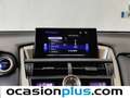 Lexus NX 300 300h Executive 4WD Gris - thumbnail 31