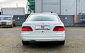 Mercedes-Benz E 55 AMG /LEDER/COMAND/SHZ/MEMORY/NAVI Weiß - thumbnail 5
