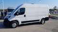 Fiat Ducato L2H2 Maxi ''Netto: €14.990,-* Weiß - thumbnail 7