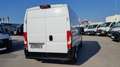 Fiat Ducato L2H2 Maxi ''Netto: €14.990,-* Weiß - thumbnail 5