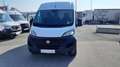 Fiat Ducato L2H2 Maxi ''Netto: €14.990,-* Weiß - thumbnail 2