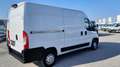 Fiat Ducato L2H2 Maxi ''Netto: €14.990,-* Weiß - thumbnail 4