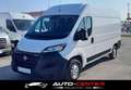 Fiat Ducato L2H2 Maxi ''Netto: €14.990,-* Weiß - thumbnail 1