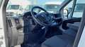 Fiat Ducato L2H2 Maxi ''Netto: €14.990,-* Weiß - thumbnail 9