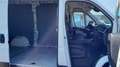 Fiat Ducato L2H2 Maxi ''Netto: €14.990,-* Weiß - thumbnail 12