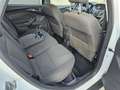 Ford Focus Wagon 1.0 EcoB. Edit. Plus,Apk,Nap,Airco,Trekhaak, Blanc - thumbnail 15