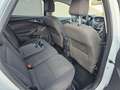 Ford Focus Wagon 1.0 EcoB. Edit. Plus,Apk,Nap,Airco,Trekhaak, Blanc - thumbnail 14