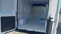 Fiat Ducato 33 2.3 MJT 140CV LH2 E6D-TEM VAN N1 Wit - thumbnail 9