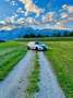 Nissan Pulsar Pulsar 1.5 dCi Acenta Silber - thumbnail 2