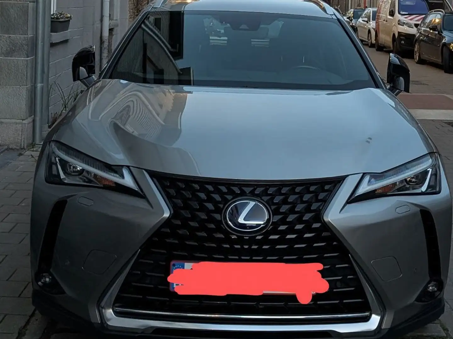 Lexus UX 250h UX 250h Grijs - 1