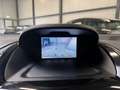Ford B-Max 1.0 EcoBoost Titanium / CLIMA / CAMERA / CRUISE / Grijs - thumbnail 14