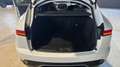 Jaguar E-Pace E-Pace 2017 2.0d Dynamic SE awd 150cv auto my19 Blanc - thumbnail 9