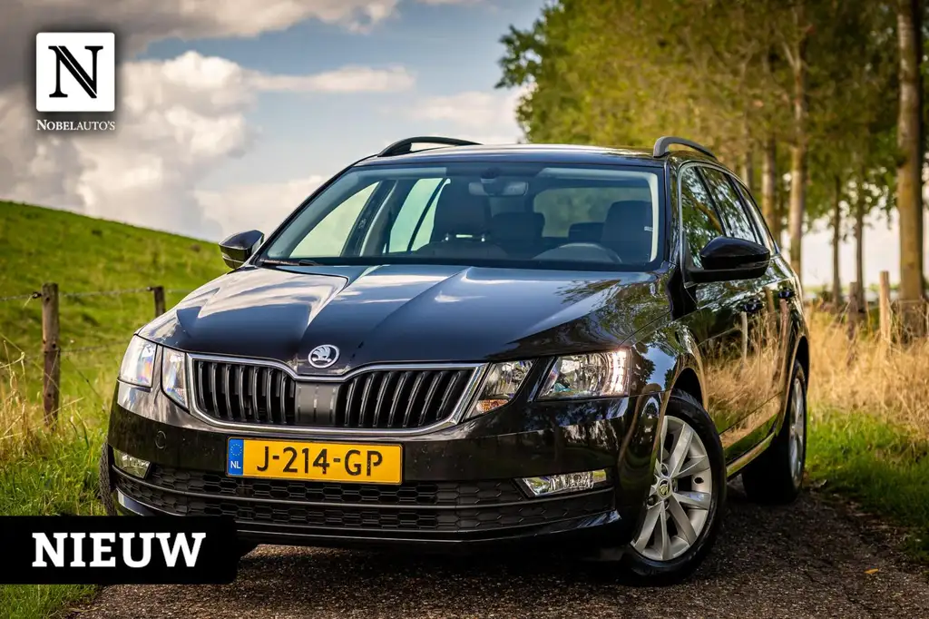 Skoda Octavia 2020 из Европы — купить под ключ