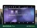 Skoda Kodiaq 1.5 tsi phev selection 204cv dsg Blu/Azzurro - thumbnail 14