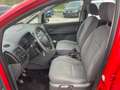 Ford Focus C-Max Ambiente+NEU PICKERL 4/2027+4MONAT+SITZHEIZUNG Rot - thumbnail 13