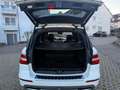 Mercedes-Benz ML 500 M-Klasse 4MATIC (BlueEFFICIENCY) 7G-TRONIC Weiß - thumbnail 6