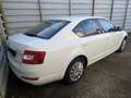 Skoda Octavia 1.2 TSI Lim.Ambition*1 Hand*99.062 Km* Blanc - thumbnail 4