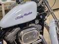Harley-Davidson Sportster 883 883 Custom (1998 - 00) - XL 53C Blanc - thumbnail 11