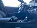 Toyota C-HR 1.8 Hybrid Team D KAMERA EPH Rot - thumbnail 6