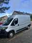 Peugeot Boxer HDi 335 L2 - thumbnail 4