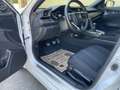 Honda Civic 1.6 i-DTEC Elegance Weiß - thumbnail 11